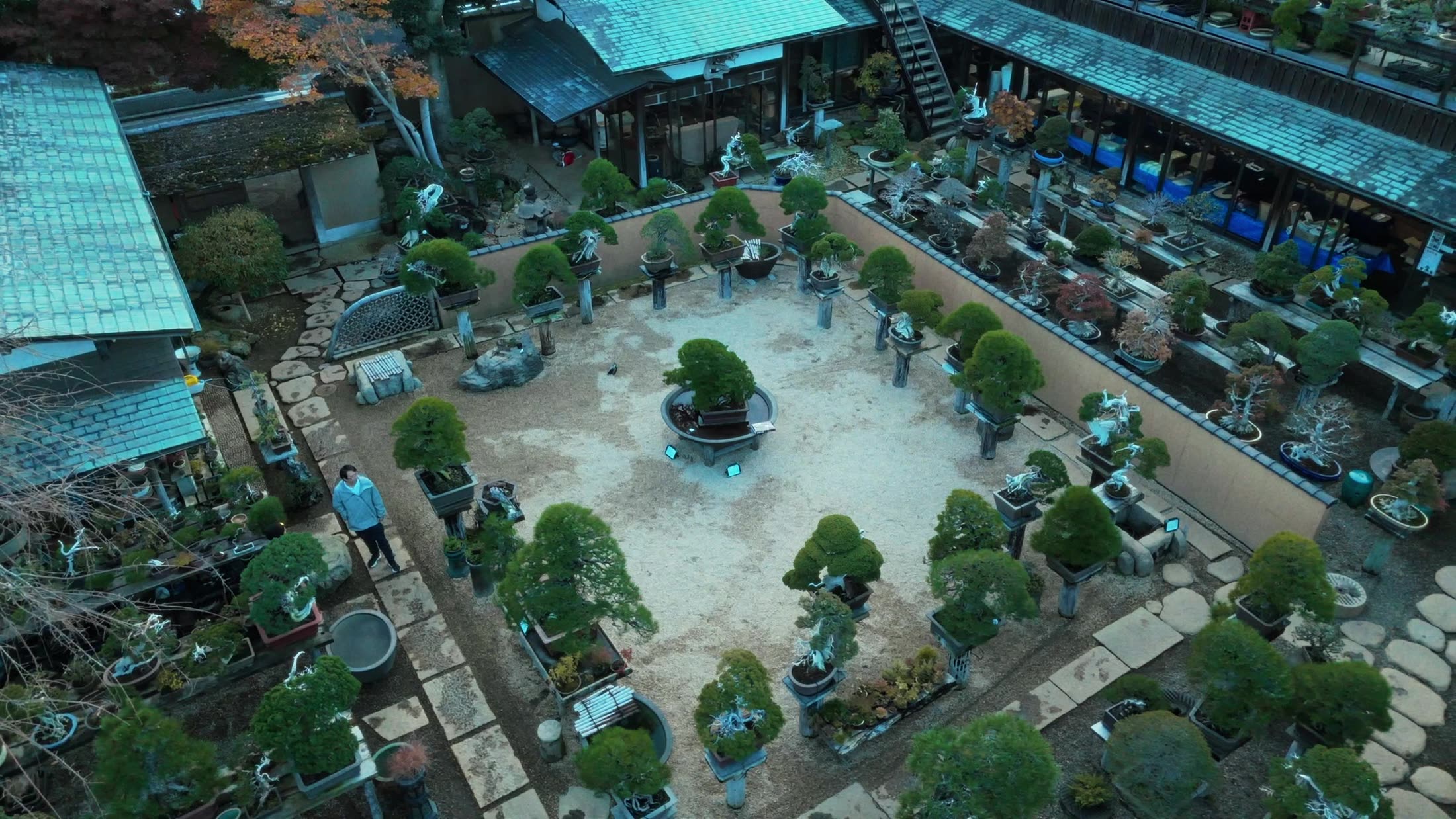Aerial view of Shunkaen's central courtyard, lined with master-level bonsai